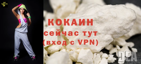 винт Дмитров
