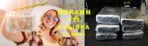 дмт Дмитровск