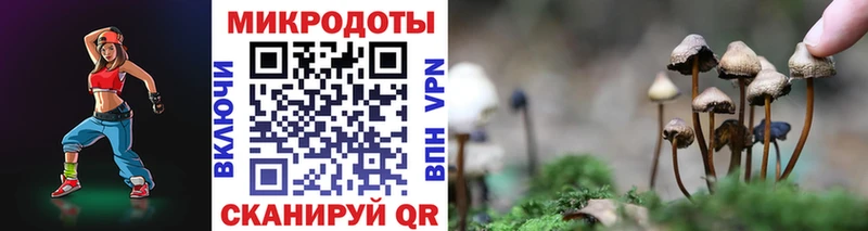 Псилоцибиновые грибы мухоморы  Купить где  Отрадная 